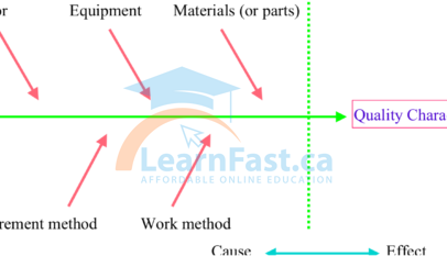 Ishikawa Diagram