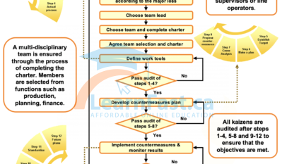 12-step Kaizen Process